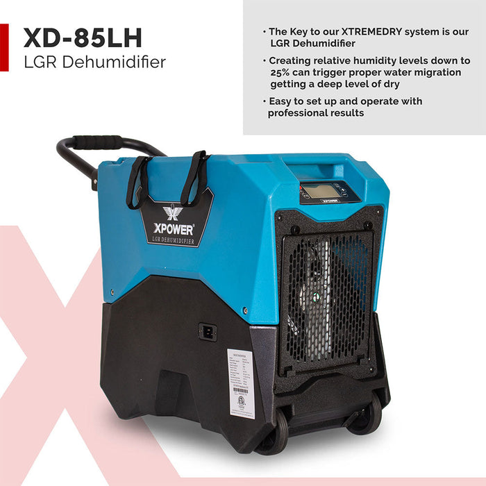 XPower XDP1 XtremeDry Pro-DIY Commercial Restoration Clean-Up Tool Kit